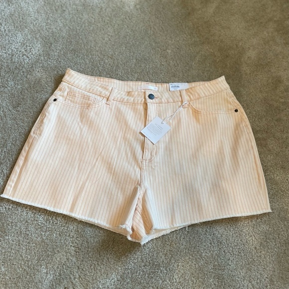 Lauren Conrad Plus Size High Waisted Cut Off Shorts - Picture 2 of 8
